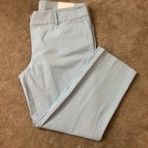 Baby Blue Loft Ankle Pant